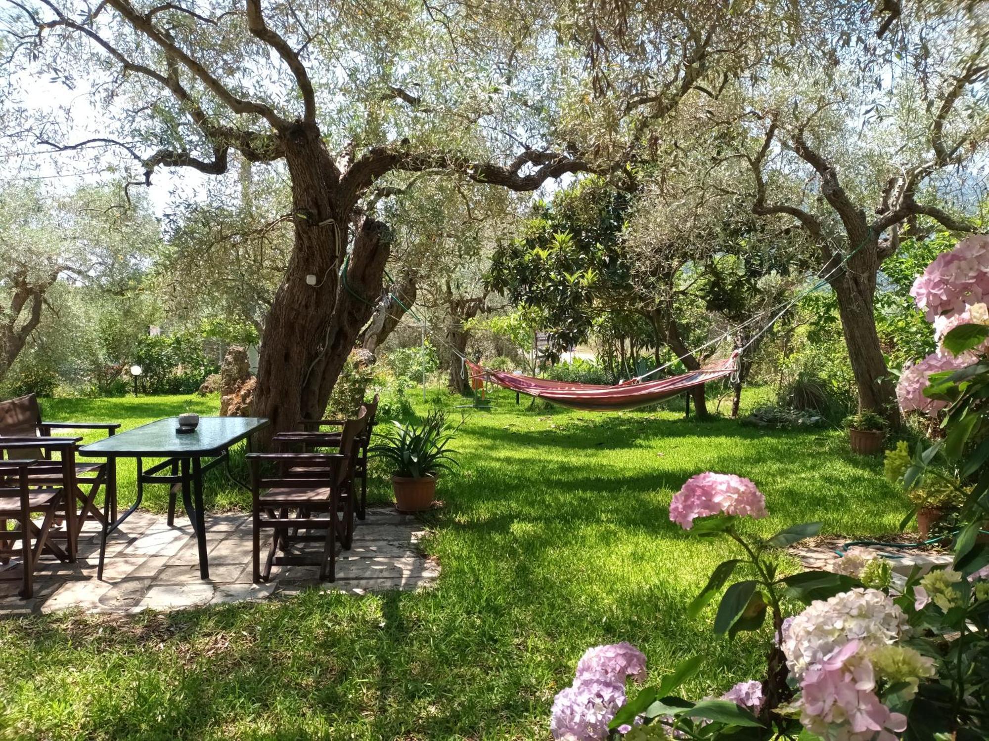 Hotel George Chrysi Ammoudia Oda fotoğraf