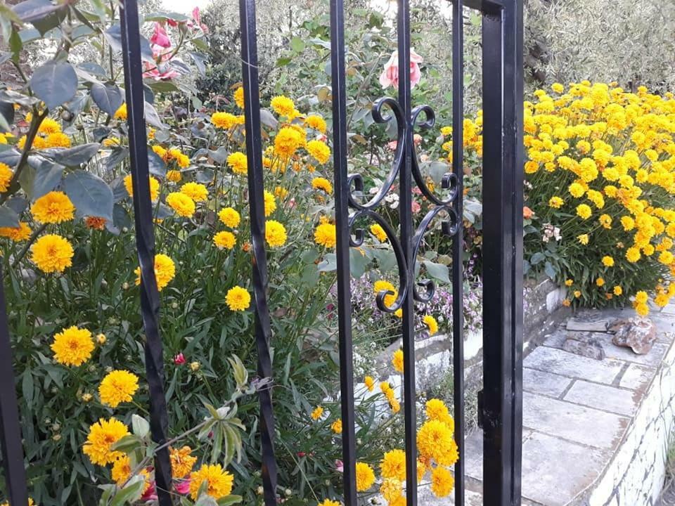 Hotel George Chrysi Ammoudia Dış mekan fotoğraf