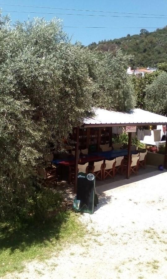 Hotel George Chrysi Ammoudia Dış mekan fotoğraf