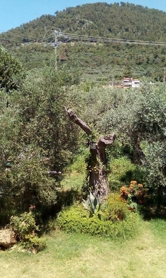 Hotel George Chrysi Ammoudia Dış mekan fotoğraf